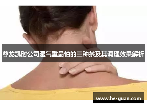 尊龙凯时公司湿气重最怕的三种茶及其调理效果解析 尊龙凯时公司湿气重最怕的三种茶及其调理效果解析