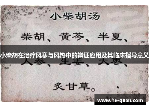 小柴胡在治疗风寒与风热中的辨证应用及其临床指导意义