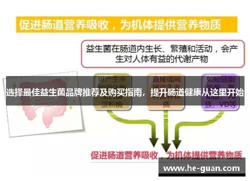 选择最佳益生菌品牌推荐及购买指南,提升肠道健康从这里开始 选择最佳益生菌品牌推荐及购买指南,提升肠道健康从这里开始