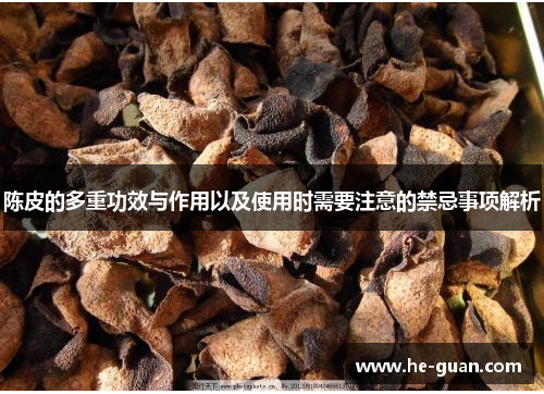 陈皮的多重功效与作用以及使用时需要注意的禁忌事项解析